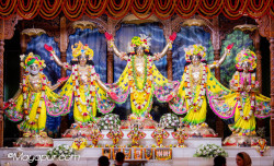 Daily Darshan
