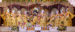 Daily Darshan