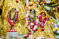 Daily Darshan