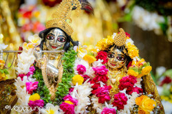 Daily Darshan