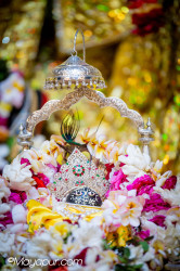 Daily Darshan