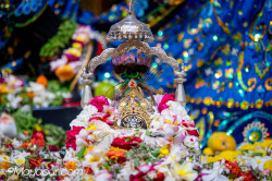 Daily Darshan