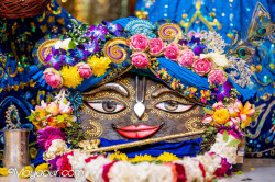 Daily Darshan