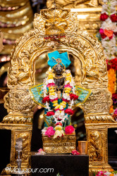 Daily Darshan