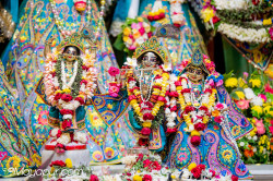 Daily Darshan