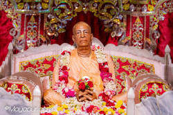 Daily Darshan