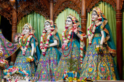 Daily Darshan