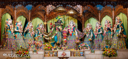 Daily Darshan