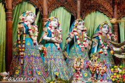 Daily Darshan