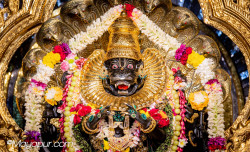 Daily Darshan