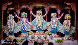 Daily Darshan