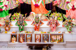 Daily Darshan