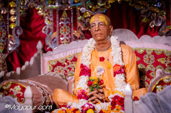 Daily Darshan