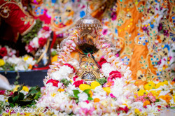 Daily Darshan