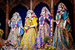Daily Darshan