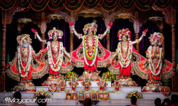 Daily Darshan