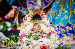 Daily Darshan