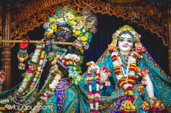 Daily Darshan