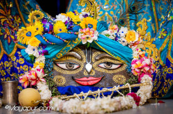Daily Darshan