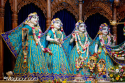 Daily Darshan