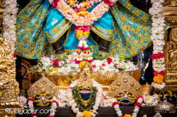 Daily Darshan
