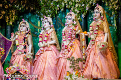 Daily Darshan