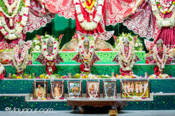 Daily Darshan
