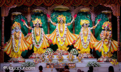 Daily Darshan