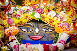 Daily Darshan