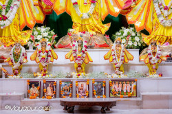 Daily Darshan