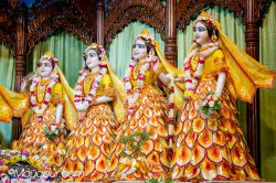 Daily Darshan