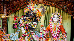 Daily Darshan