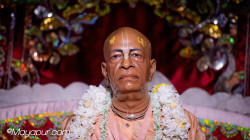 Daily Darshan