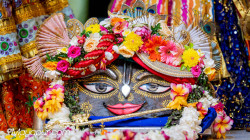 Daily Darshan