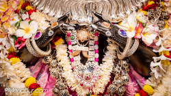 Daily Darshan