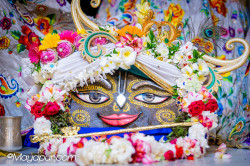 Daily Darshan