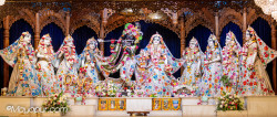 Daily Darshan