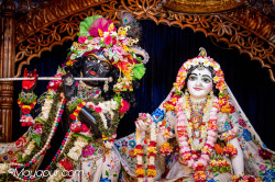 Daily Darshan