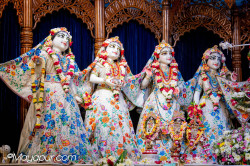 Daily Darshan