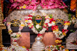 Daily Darshan
