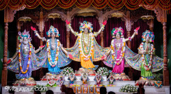 Daily Darshan