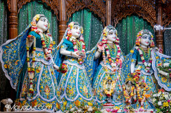 Daily Darshan