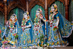 Daily Darshan