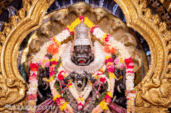 Daily Darshan