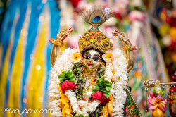 Daily Darshan