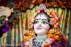 Daily Darshan