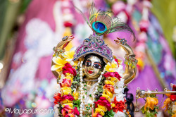 Daily Darshan