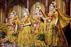 Daily Darshan