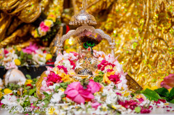 Daily Darshan