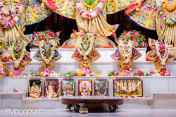 Daily Darshan